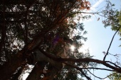 DPP_0060.jpg